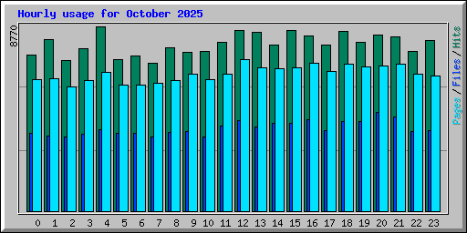 Hourly usage for October 2025