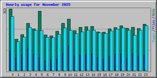 Hourly usage for November 2025