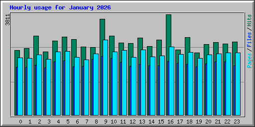 Hourly usage for January 2026