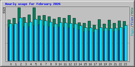 Hourly usage for February 2026