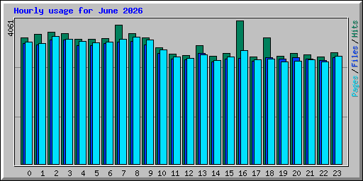 Hourly usage for June 2026