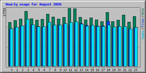Hourly usage for August 2026